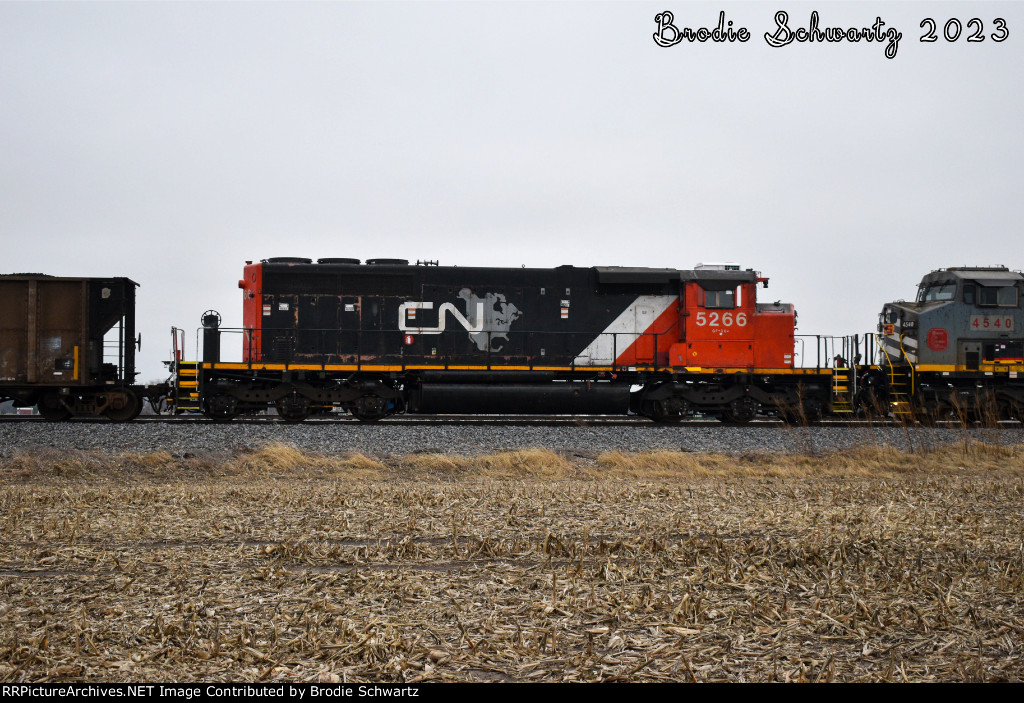 CN 5266